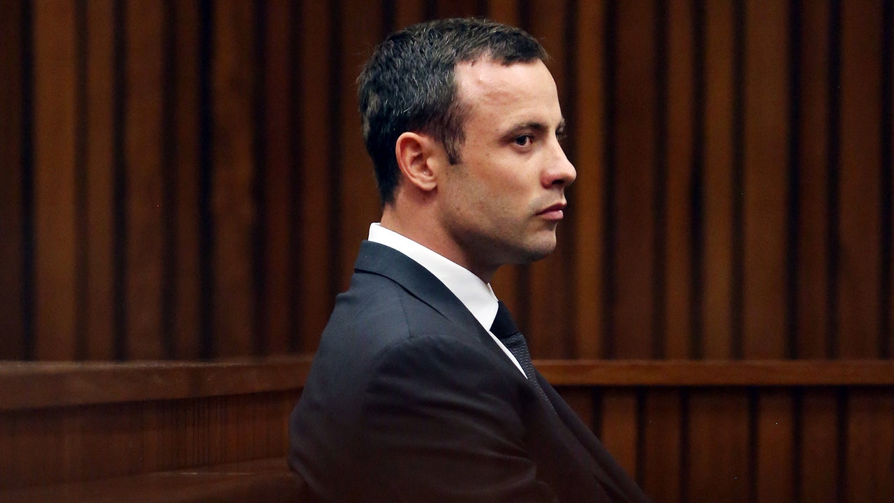 Pistorius release put on hold by South African justice department